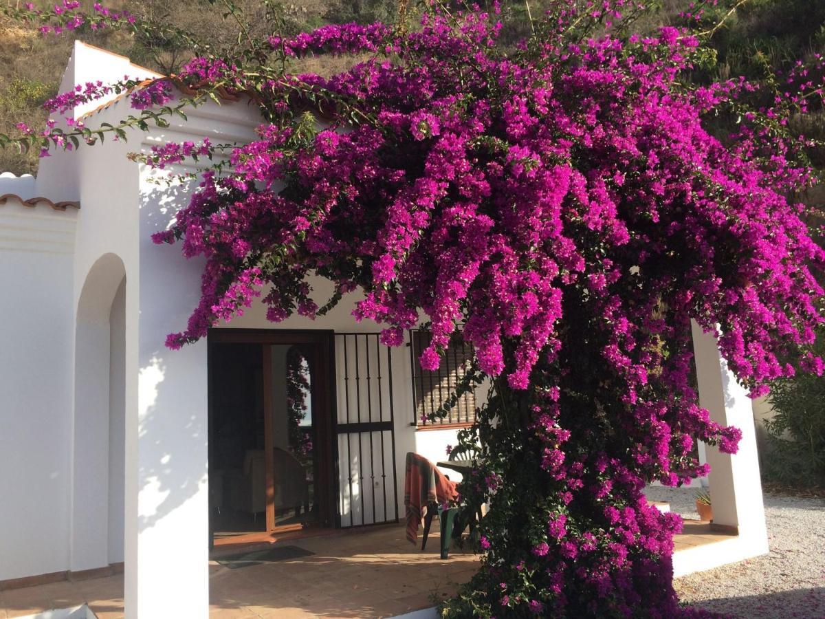 Belvilla By Oyo Casa Martijo أريناس المظهر الخارجي الصورة